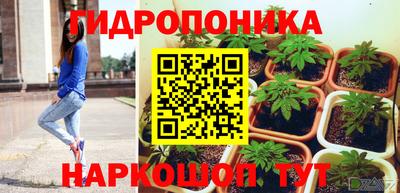 spice Кимры
