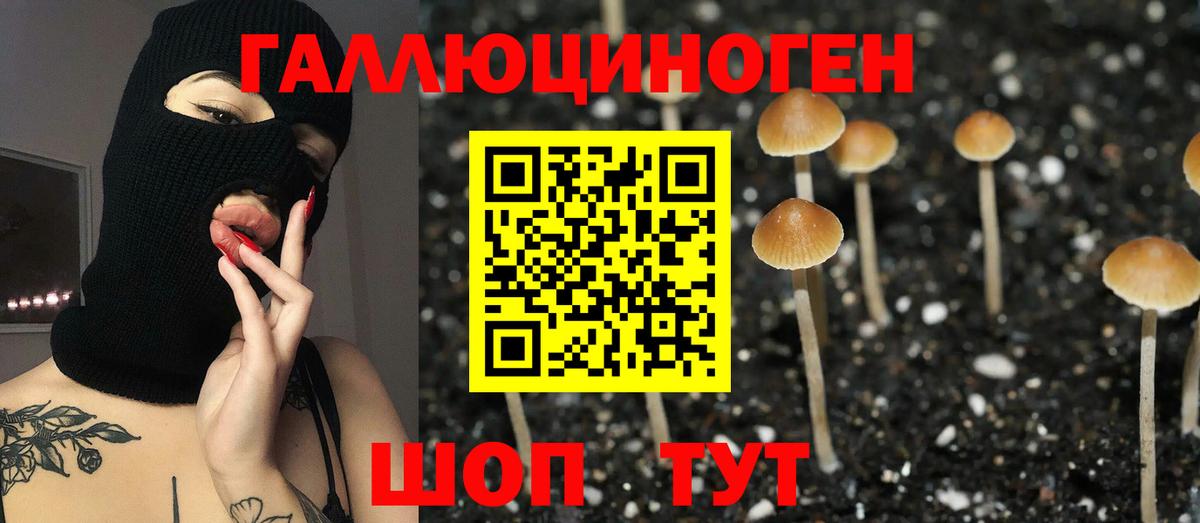 Псилоцибиновые грибы мицелий Коряжма